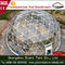 강철 구조 투명한 PVC 지오데식 돔 천막, 직경 6m-12m 협력 업체